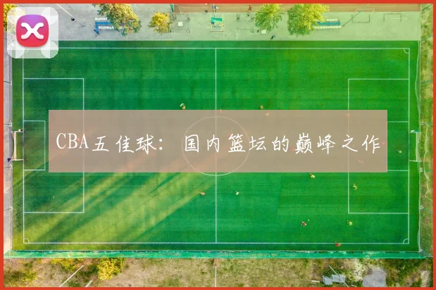 CBA五佳球：国内篮坛的巅峰之作